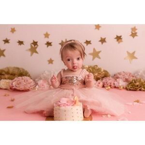 Boutique Pink And Gold Sequence Dress